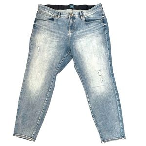 JAG Cecilia 20W High Rise Skinny Jeans Plus Size Medium Wash Denim